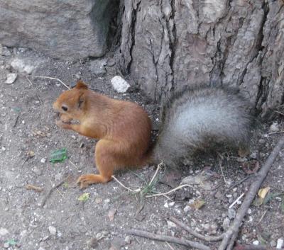 Прикрепленное изображение: 08_02_8.JPEG